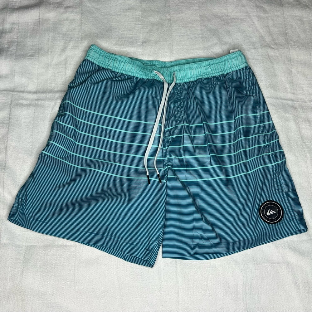 Quiksilver Volley Shorts Men's Blue Seafoam Stripe Swim Shorts Small